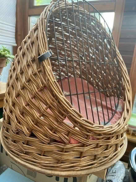 Photo of free Cat / Kitten Small Pet Carrier (Wandsworth SW18) #1