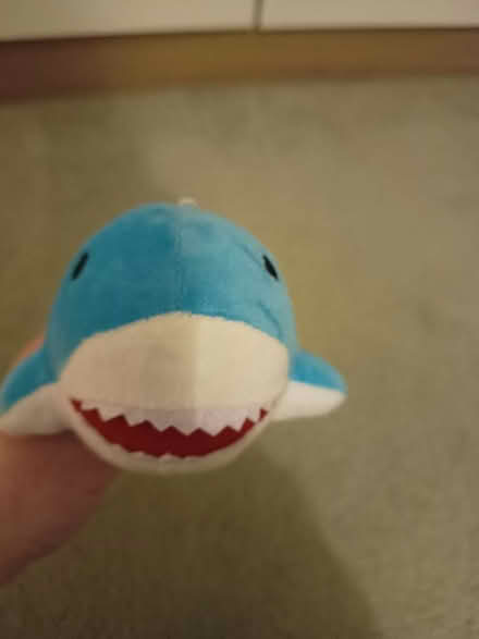 Photo of free Shark bag charm keyring (CW2) #1