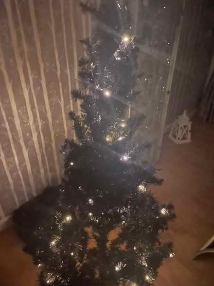 Photo of free Black Christmas Tree (Little Dawley TF4) #1