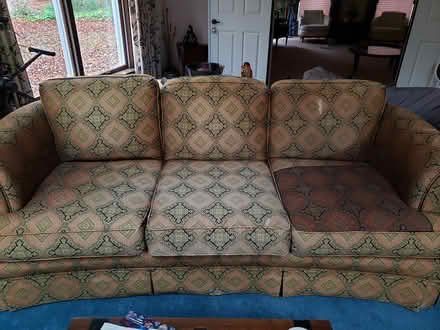 Photo of free Comfortable sofa (Davidsonville) #1