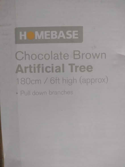 Photo of free Chocolate Brown Christmas Tree (Sidford EX10) #1