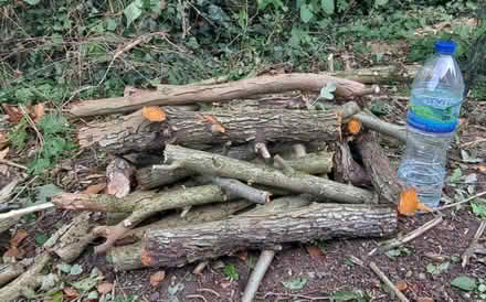 Photo of free Wood (Pinehurst SG13) #1