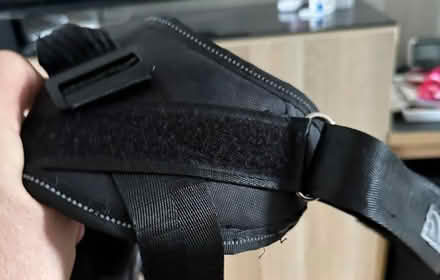 Photo of free Dog Harness (Goffs Oak EN7) #2