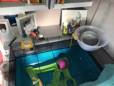 Photo of free Home for hamsters (Crossgates leeds) #1