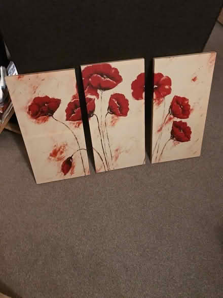 Photo of free Poppy Canvas Pictures x3 (Patcham BN1) #1