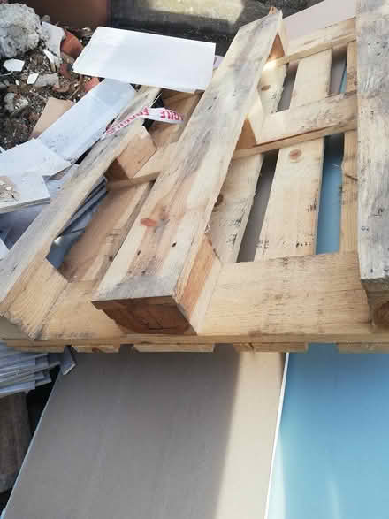 Photo of free Pallet (Seaburn) #1