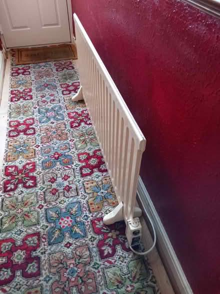 Photo of free Oil filled radiator (Edgeley SK3) #1