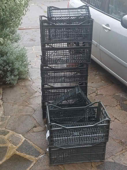 Photo of free Storage crates (Sutton SM3) #1