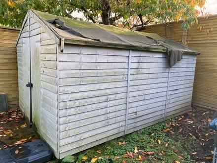 Photo of free Shed (Beckenham) #1