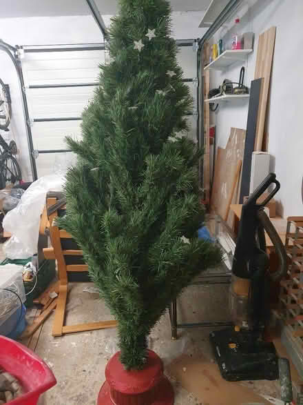 Photo of free Xmas Tree (Pangbourne RG8) #1