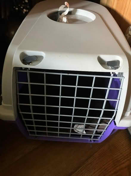 Photo of free Pet Carrier (CT19) #1