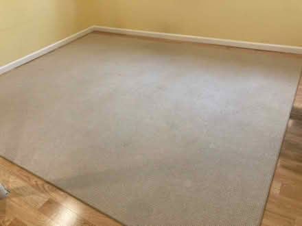 Photo of free Wool carpet (Near Weston town center) #2