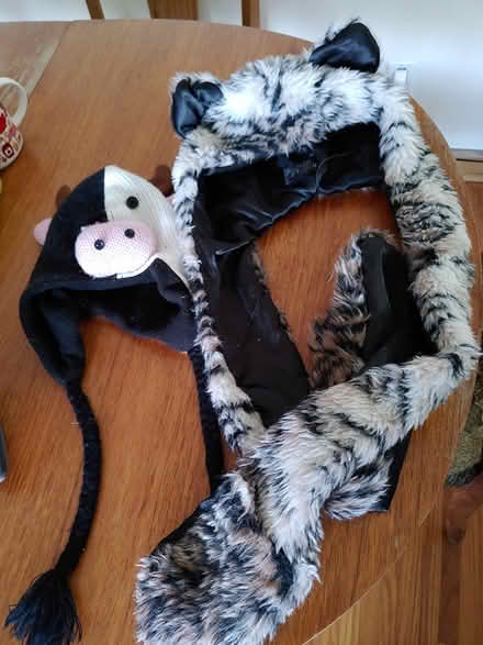 Photo of free Kids Hats (Kitchener (Lancaster/Union)) #1