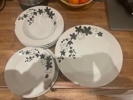 Photo of free Plates (Brooklands Meadows Park MK10) #1