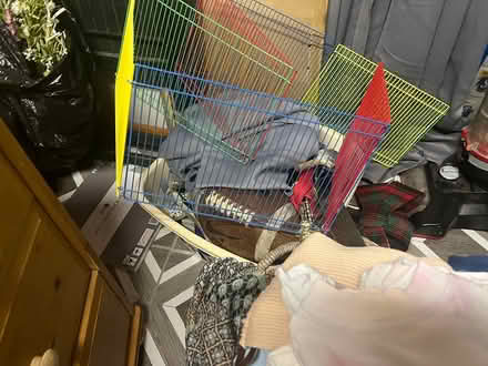 Photo of free Guinea pig fencing (Elkridge) #1