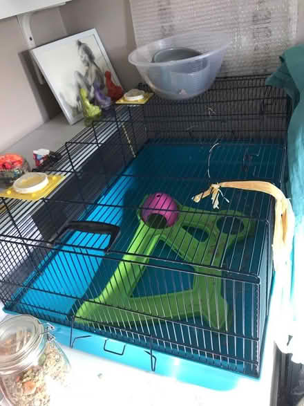 Photo of free Home for hamsters (Crossgates leeds) #2