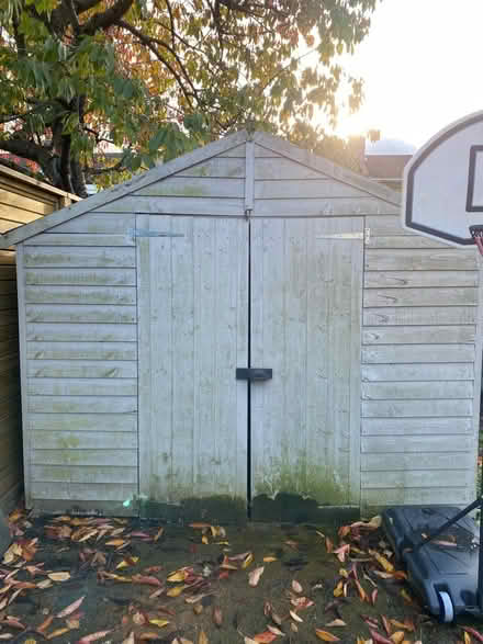 Photo of free Shed (Beckenham) #2
