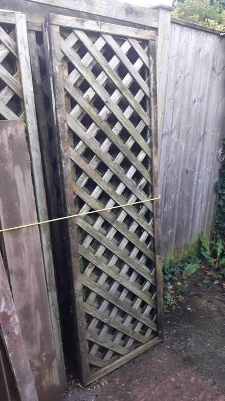 Photo of free Trellis Panels (Buckfastleigh TQ11) #1