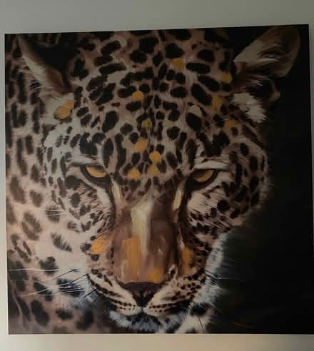 Photo of free Canvas picture (Eastwood (G43)) #1