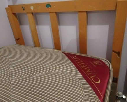 Photo of free Single Bed (Reigate RH2) #1