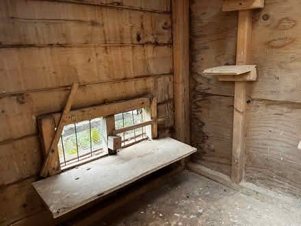 Photo of free Pigeon Coop (Claremont Ontario) #3