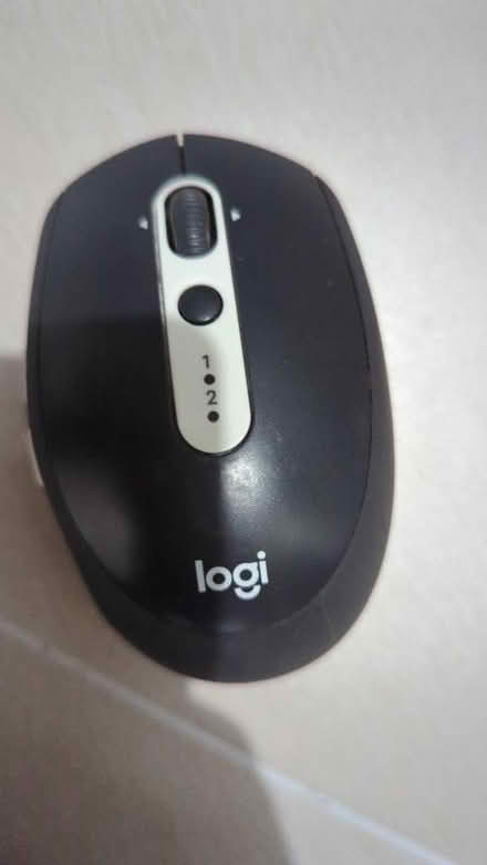 Photo of free Mouse (Sengkang) #1
