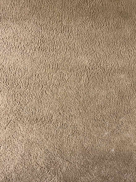 Photo of free Carpet (Cascade township) #1