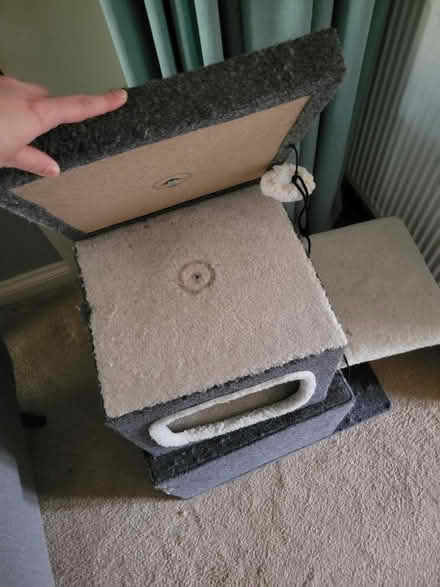 Photo of free Cat tree (BS7) #2