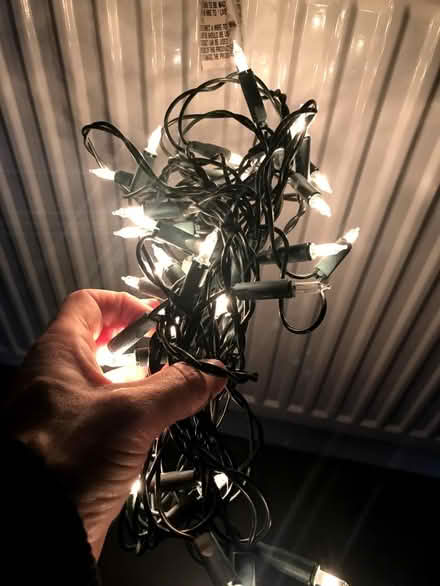 Photo of free Christmas lights - incandescent bulbs. (Ruislip UB10) #1