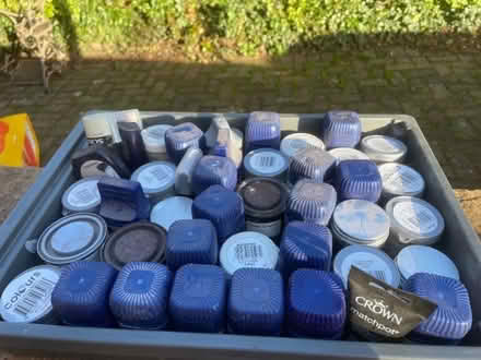 Photo of free Match pot paint samples (Wellington TF1) #1