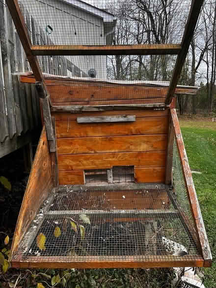 Photo of free Pigeon Coop (Claremont Ontario) #4