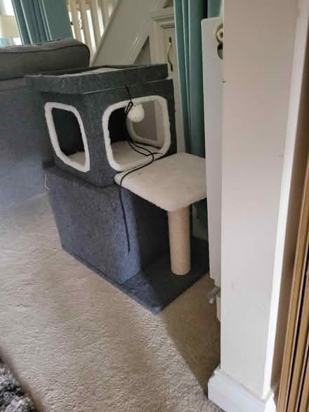 Photo of free Cat tree (BS7) #3