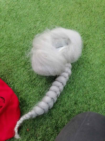Photo of free Plastic grey hair wig (EN11 rye house area) #1