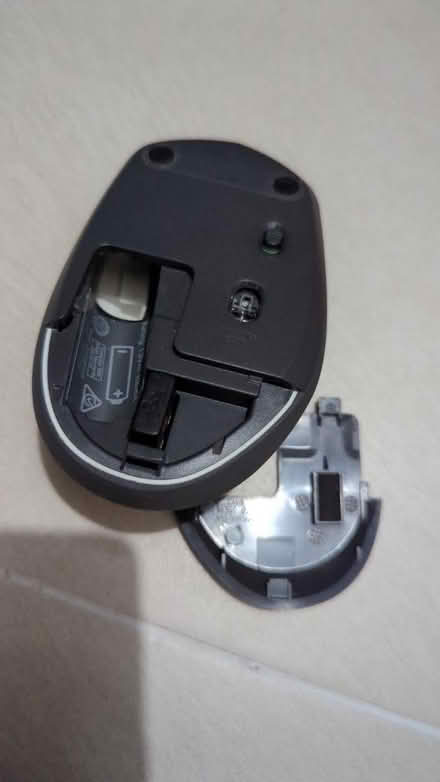Photo of free Mouse (Sengkang) #2