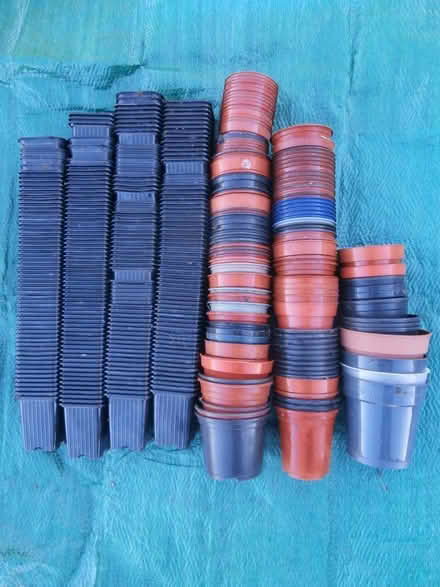 Photo of free Approx 300 plastic plant pots, lots are new. (Maxton TD6) #1
