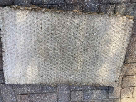 Photo of free Doormat (KT12 Elmbridge) #1
