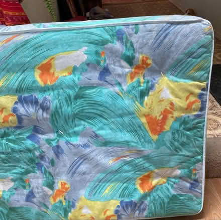 Photo of free Mattress only (Westside near Unser/Dellyne) #1