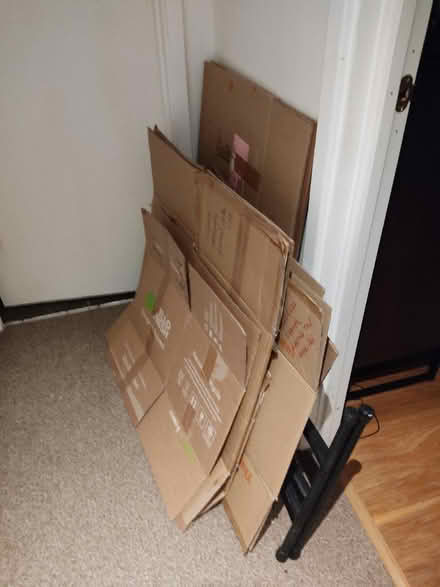 Photo of free Moving boxes (Herdings, S14) #1