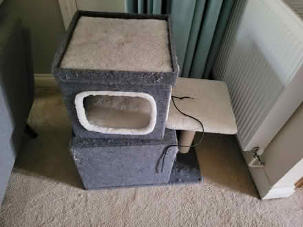 Photo of free Cat tree (BS7) #1