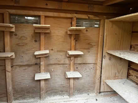 Photo of free Pigeon Coop (Claremont Ontario) #2