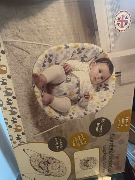 Photo of free Bambino bouncer (Oldbury, B69) #1