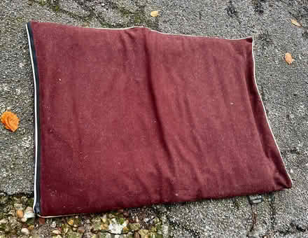 Photo of free Two Old Dog Beds (ME14 (Detling)) #2