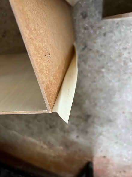 Photo of free 3 x ikea kales shelving unit doors (Netherfield, Battle) #3