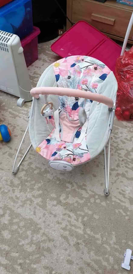 Photo of free Baby bouncer (Heybridge CM9) #2