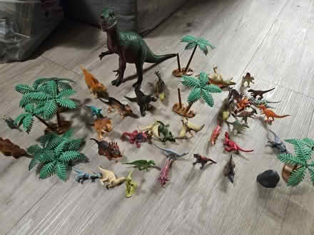 Photo of free Toy Dinosaurs (LS8 (Roundhay)) #2