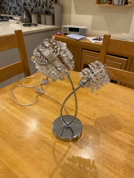 Photo of free Ceiling light and table lamp (Warners End Hemel Hempstead) #2
