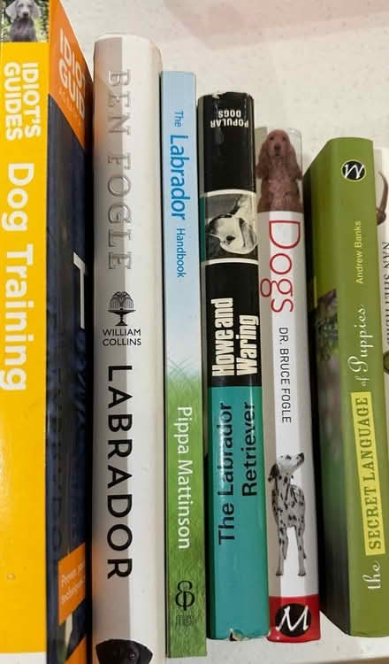 Photo of free Dog training books (Labrador focus) (Harpenden) #1