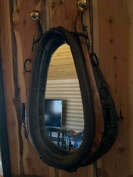 Photo of free Harness mirror (Clinton Twsp mi) #1