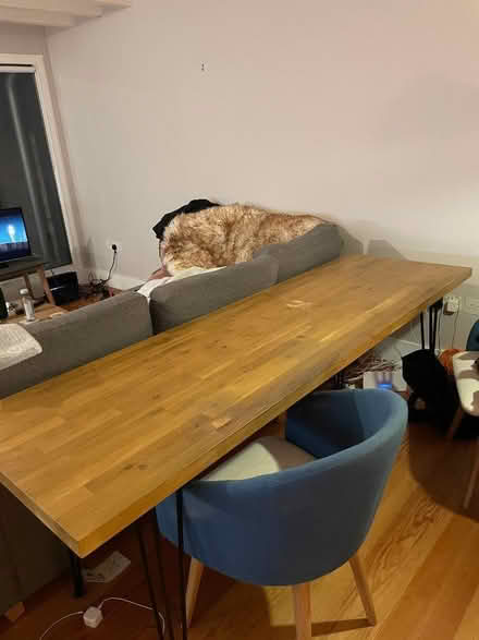 Photo of free Large oak office desk perfect for studio work (Barnes SW13) #1