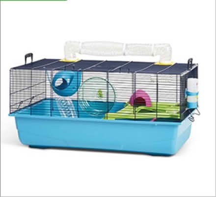 Photo of free Home for hamsters (Crossgates leeds) #3